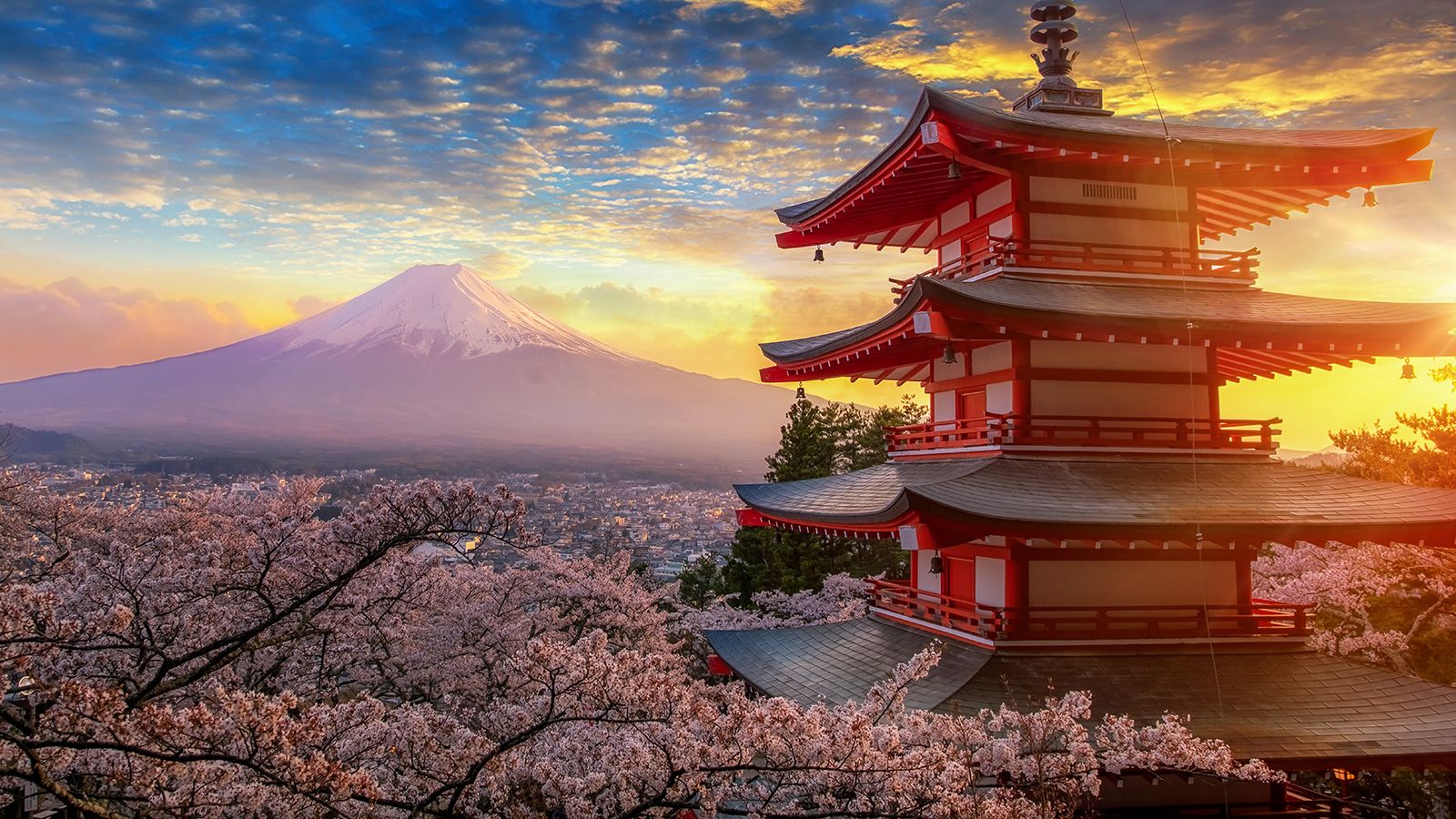 Japan Visa
